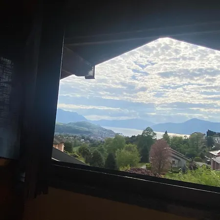 Verdelago